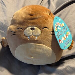 Squishmallows Tan and Cream Walrus Plush